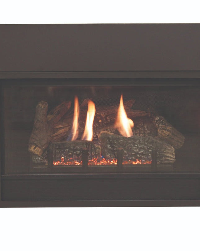 American Hearth Franklin DVC20 Clean Face Gas Insert - 20" Direct Vent, Millivolt Pilot, Ceramic Glass - NG/LP