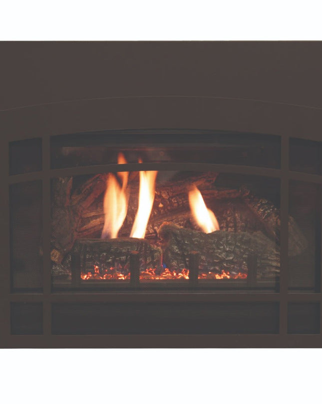 American Hearth Franklin DVC20 Clean Face Gas Insert - 20" Direct Vent, Millivolt Pilot, Ceramic Glass - NG/LP