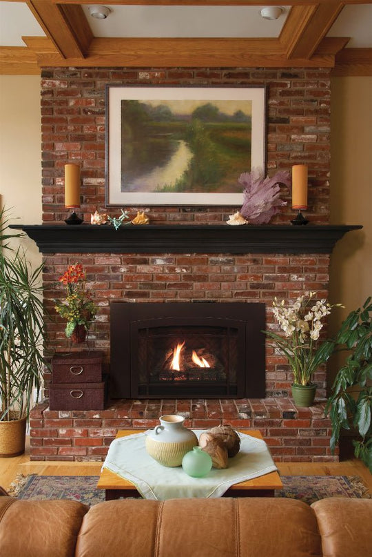 American Hearth Franklin DVC26 Medium Gas Insert - 26" Direct Vent, Millivolt Pilot, 77% Efficient - NG/LP