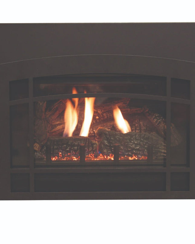 American Hearth Franklin DVC26 Medium Gas Insert - 26" Direct Vent, Millivolt Pilot, 77% Efficient - NG/LP