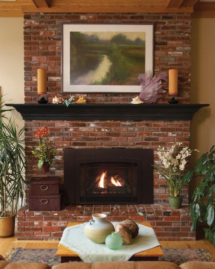 American Hearth Franklin DVC28 Large Gas Insert - 28" Direct Vent, 77% Efficient, Ceramic Glass - NG/LP