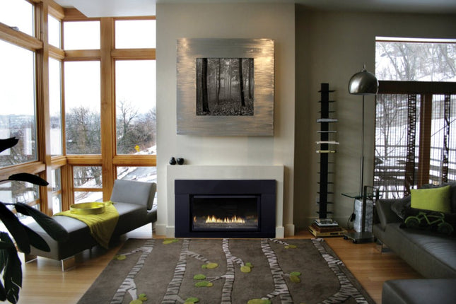 American Hearth Renegade DVCT30 Gas Insert - TruFlame Technology, 30" Direct Vent, Multi-Function Remote - NG/LP