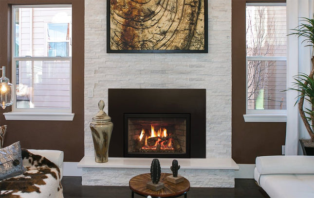 American Hearth Renegade DVCT30 Gas Insert - TruFlame Technology, 30" Direct Vent, Multi-Function Remote - NG/LP