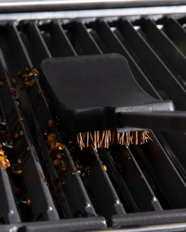 Natural Palmyra Grill Brush with Refill