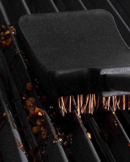 Palmyra Grill Brush Replacement Head Set