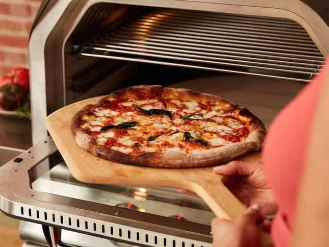 Blaze LTE+ 26-Inch Gas Outdoor Pizza Oven with Bluetooth Meat Probes