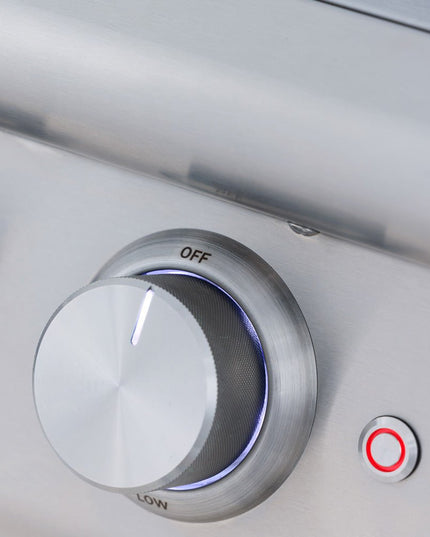 Blaze LTE+ Built-In Double Side Burner
