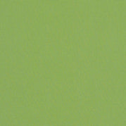 Ginkgo