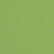 Ginkgo