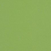 Ginkgo