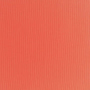 Melon