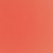 Melon