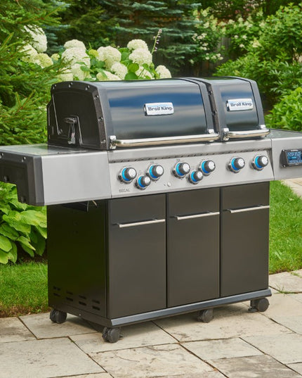 iQue Regal Q 690 Pro Grill