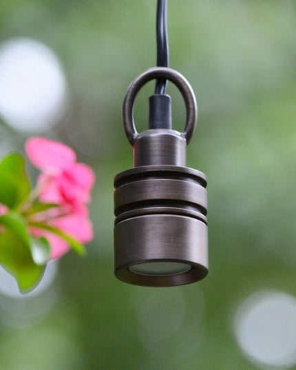 Lumien Compact Hanging Brass Light Outdoor Fixture