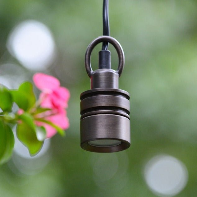 Lumien Compact Hanging Brass Light Outdoor Fixture