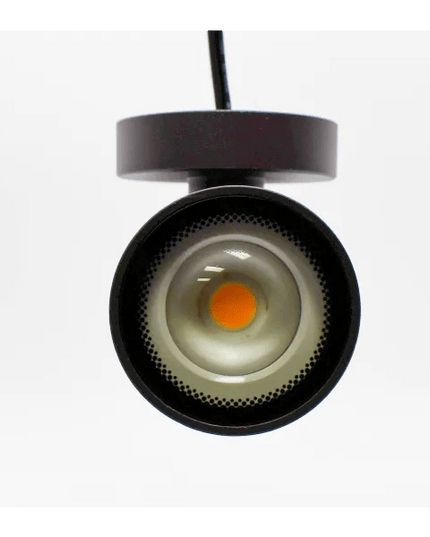 Lumien Durable Bronze 10W Downlight Sconce for Outdoor Walls