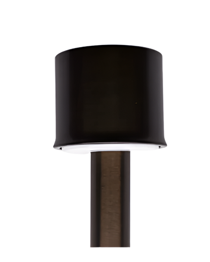 Lumien Antique Brass Area Light with Adjustable Beam Spread